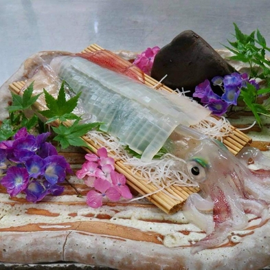 【期間限定】京丹後★夏の新定番★最高級種のイカ“コリコリ刺身の活白イカ”お披露目をお楽しみに♪